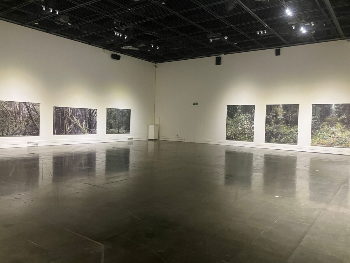 臺東美術館特展《你見過的風景我走過》閉展倒數 請把握最後觀展機會