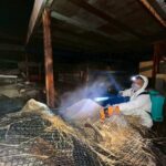 非洲豬瘟案場髒亂超預期! 市府與十軍團聯手徹夜啟動消毒前清理 第二輪人力接手