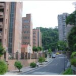 恆安董事長兆如安養護中心19棵櫻花樹羅生門 地院判無罪高院駁回檢上訴