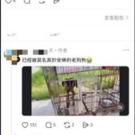 網傳動保不實圖片與指控 嘉市府:不實訊息影射將依法追究